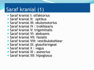 Saraf kranial (1)
 Saraf kranial I: olfaktorius
 Saraf kranial II: optikus
 Saraf kranial III: okulomotorius
 Saraf kranial IV : trokhlearis
 Saraf kranial V: trigeminalis
 Saraf kranial VI: abdusens
 Saraf kranial VII: fasialis
 Saraf kranial VIII: vestibulokohlear
 Saraf kranial IX: glosofaringeal
 Saraf kranial X : vagus
 Saraf kranial XI : asesorius
 Saraf kranial XII: hipoglosus
 