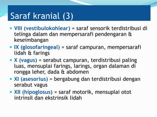 Saraf kranial (3)
 VIII (vestibulokohlear) = saraf sensorik terdistribusi di
telinga dalam dan mempersarafi pendengaran &
keseimbangan
 IX (glosofaringeal) = saraf campuran, mempersarafi
lidah & farings
 X (vagus) = serabut campuran, terdistribusi paling
luas, mensuplai farings, larings, organ dalaman di
rongga leher, dada & abdomen
 XI (asesorius) = bergabung dan terdistribusi dengan
serabut vagus
 XII (hipoglosus) = saraf motorik, mensuplai otot
intrinsil dan ekstrinsik lidah
 