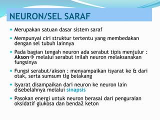 NEURON/SEL SARAF
 Merupakan satuan dasar sistem saraf
 Mempunyai ciri struktur tertentu yang membedakan
dengan sel tubuh lainnya
 Pada bagian tengah neuron ada serabut tipis menjulur :
Akson melalui serabut inilah neuron melaksanakan
fungsinya
 Fungsi serabut/akson : menyampaikan isyarat ke & dari
otak, serta sumsum tlg belakang
 Isyarat disampaikan dari neuron ke neuron lain
disebelahnya melalui sinapsis
 Pasokan energi untuk neuron berasal dari penguraian
oksidatif glukosa dan benda2 keton
 