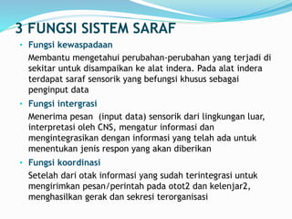 3 FUNGSI SISTEM SARAF
• Fungsi kewaspadaan
Membantu mengetahui perubahan-perubahan yang terjadi di
sekitar untuk disampaikan ke alat indera. Pada alat indera
terdapat saraf sensorik yang befungsi khusus sebagai
penginput data
• Fungsi intergrasi
Menerima pesan (input data) sensorik dari lingkungan luar,
interpretasi oleh CNS, mengatur informasi dan
mengintegrasikan dengan informasi yang telah ada untuk
menentukan jenis respon yang akan diberikan
• Fungsi koordinasi
Setelah dari otak informasi yang sudah terintegrasi untuk
mengirimkan pesan/perintah pada otot2 dan kelenjar2,
menghasilkan gerak dan sekresi terorganisasi
 