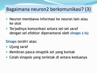  Neuron membawa informasi ke neuron lain atau
ke otot
 Terjadinya komunikasi antara sel-sel saraf
dengan sel efektor diperantarai oleh sinaps (-is)
Sinaps terdiri atas:
 Ujung saraf
 Membran pasca-sinaptik sel yang kontak
 Celah sinapsis yang terletak di antara keduanya
Bagaimana neuron2 berkomunikasi? (3)
 
