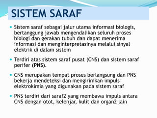 SISTEM SARAF
 Sistem saraf sebagai jalur utama informasi biologis,
bertanggung jawab mengendalikan seluruh proses
biologi dan gerakan tubuh dan dapat menerima
informasi dan menginterpretasinya melalui sinyal
elektrik di dalam sistem
 Terdiri atas sistem saraf pusat (CNS) dan sistem saraf
perifer (PNS).
 CNS merupakan tempat proses berlangsung dan PNS
bekerja mendeteksi dan mengirimkan impuls
elektrokimia yang digunakan pada sistem saraf
 PNS terdiri dari saraf2 yang membawa impuls antara
CNS dengan otot, kelenjar, kulit dan organ2 lain
 