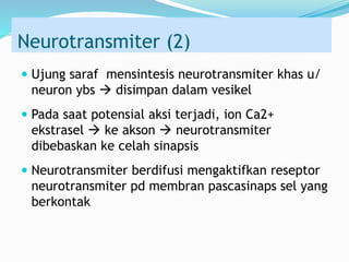 Neurotransmiter (2)
 Ujung saraf mensintesis neurotransmiter khas u/
neuron ybs  disimpan dalam vesikel
 Pada saat potensial aksi terjadi, ion Ca2+
ekstrasel  ke akson  neurotransmiter
dibebaskan ke celah sinapsis
 Neurotransmiter berdifusi mengaktifkan reseptor
neurotransmiter pd membran pascasinaps sel yang
berkontak
 
