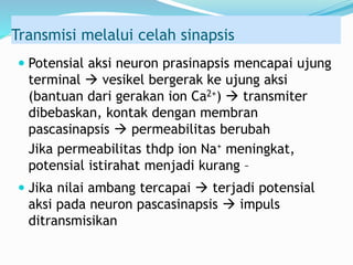 Transmisi melalui celah sinapsis
 Potensial aksi neuron prasinapsis mencapai ujung
terminal  vesikel bergerak ke ujung aksi
(bantuan dari gerakan ion Ca2+)  transmiter
dibebaskan, kontak dengan membran
pascasinapsis  permeabilitas berubah
Jika permeabilitas thdp ion Na+ meningkat,
potensial istirahat menjadi kurang –
 Jika nilai ambang tercapai  terjadi potensial
aksi pada neuron pascasinapsis  impuls
ditransmisikan
 