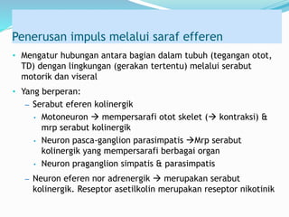 Penerusan impuls melalui saraf efferen
• Mengatur hubungan antara bagian dalam tubuh (tegangan otot,
TD) dengan lingkungan (gerakan tertentu) melalui serabut
motorik dan viseral
• Yang berperan:
– Serabut eferen kolinergik
• Motoneuron  mempersarafi otot skelet ( kontraksi) &
mrp serabut kolinergik
• Neuron pasca-ganglion parasimpatis Mrp serabut
kolinergik yang mempersarafi berbagai organ
• Neuron praganglion simpatis & parasimpatis
– Neuron eferen nor adrenergik  merupakan serabut
kolinergik. Reseptor asetilkolin merupakan reseptor nikotinik
 