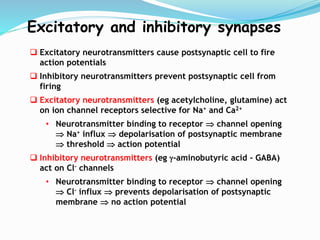 Excitatory and inhibitory synapses
 Excitatory neurotransmitters cause postsynaptic cell to fire
action potentials
 Inhibitory neurotransmitters prevent postsynaptic cell from
firing
 Excitatory neurotransmitters (eg acetylcholine, glutamine) act
on ion channel receptors selective for Na+ and Ca2+
• Neurotransmitter binding to receptor  channel opening
 Na+ influx  depolarisation of postsynaptic membrane
 threshold  action potential
 Inhibitory neurotransmitters (eg g-aminobutyric acid - GABA)
act on Cl- channels
• Neurotransmitter binding to receptor  channel opening
 Cl- influx  prevents depolarisation of postsynaptic
membrane  no action potential
 