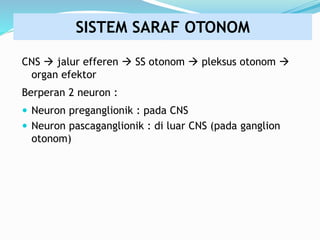 CNS  jalur efferen  SS otonom  pleksus otonom 
organ efektor
Berperan 2 neuron :
 Neuron preganglionik : pada CNS
 Neuron pascaganglionik : di luar CNS (pada ganglion
otonom)
SISTEM SARAF OTONOM
 