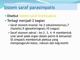 Sistem saraf parasimpatis
 Disebut sistem saraf kraniosakral
 Terbagi menjadi 2 bagian
 Saraf otonom kranial: ke-3 (okulomotorius),7
(fasialis),9 (glosofaringeal),10 (vagus)
 Saraf otonom sakral : ke-2, 3, 4  membentuk
urat saraf pada organ dalam pelvis & bersama2
SS simpatis membentuk pleksus yang
mempengaruhi kolon, rektum dan kdg kemih
 