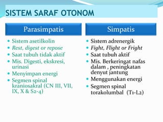 SISTEM SARAF OTONOM
 Sistem asetilkolin
 Rest, digest or repose
 Saat tubuh tidak aktif
 Mis. Digesti, ekskresi,
urinasi
 Menyimpan energi
 Segmen spinal
kraniosakral (CN III, VII,
IX, X & S2-4)
 Sistem adrenergik
 Fight, Flight or Fright
 Saat tubuh aktif
 Mis. Berkeringat nafas
dalam , peningkatan
denyut jantung
 Menggunakan energi
 Segmen spinal
torakolumbal (T1-L2)
Parasimpatis Simpatis
 