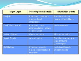 Target Organ Parasympathetic Effects Sympathetic Effects
Eye (Iris) Stimulates constrictor
muscles. Pupil
constriction
Stimulates dilator
muscles. Pupil dilates.
Eye (Ciliary muscle) Stimulates. Lens
accommodates – allows
for close vision
No innervation.
Salivary Glands Watery secretion Mucous secretion
Sweat Glands No innervation Stimulates sweating in
large amounts
(Cholinergic)
Gallbladder Stimulates smooth
muscle to contract and
expel bile
Inhibits gallbladder
smooth muscle
 