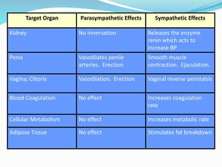 Target Organ Parasympathetic Effects Sympathetic Effects
Kidney No innervation Releases the enzyme
renin which acts to
increase BP
Penis Vasodilates penile
arteries. Erection
Smooth muscle
contraction. Ejaculation.
Vagina; Clitoris Vasodilation. Erection Vaginal reverse peristalsis
Blood Coagulation No effect Increases coagulation
rate
Cellular Metabolism No effect Increases metabolic rate
Adipose Tissue No effect Stimulates fat breakdown
 
