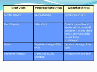 Target Organ Parasympathetic Effects Sympathetic Effects
Mental Activity No innervation Increases alertness
Blood Vessels Little effect Constricts most blood
vessels and increases BP.
Exception – dilates blood
vessels serving skeletal
muscle fibers
(cholinergic)
Uterus Depends on stage of the
cycle
Depends on stage of the
cycle
Endocrine Pancreas Stimulates insulin
secretion
Inhibits insulin secretion
 