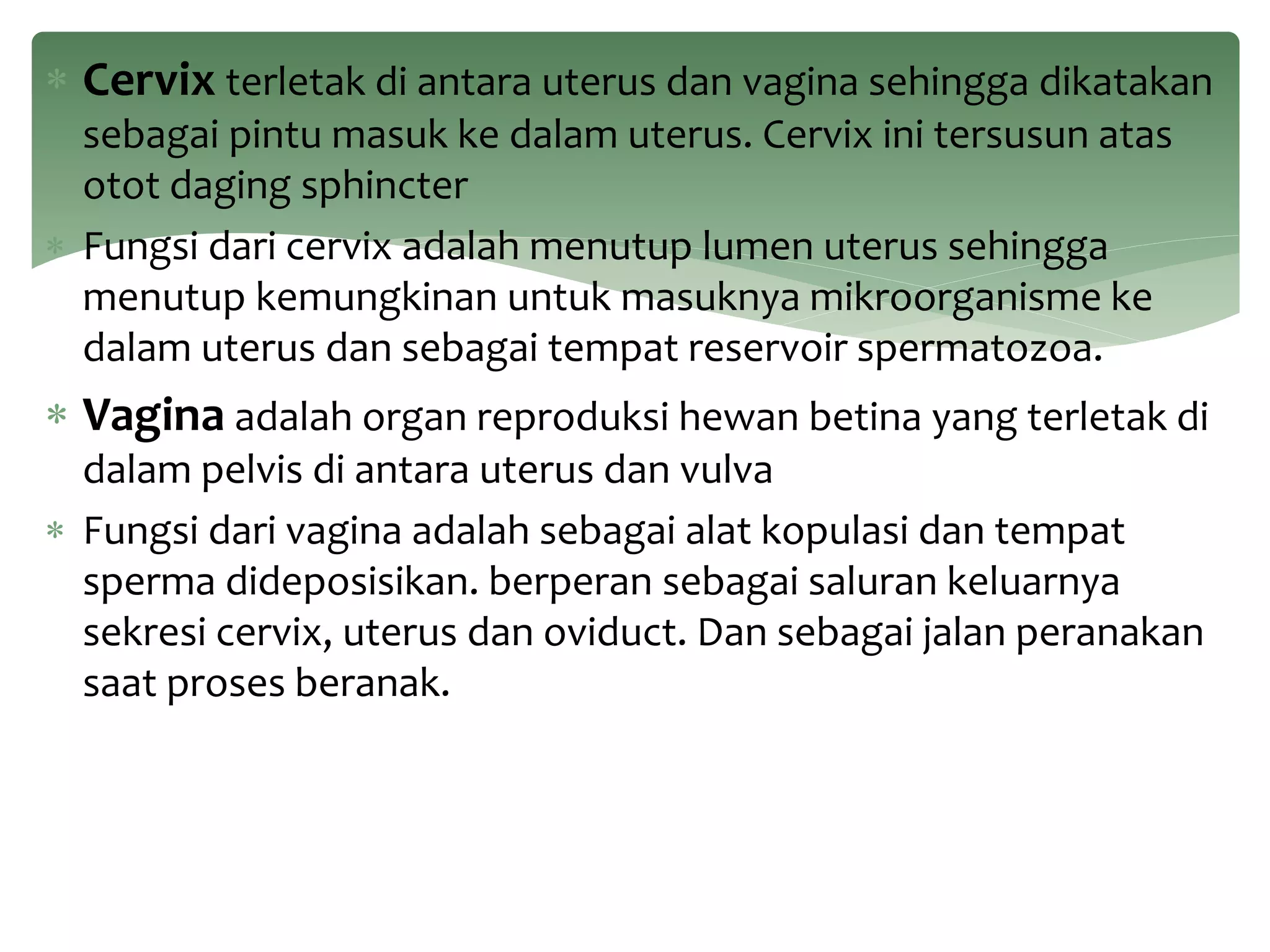 Anatomi reproduksi jantan dan betina pada sapi dan babi | PPTX