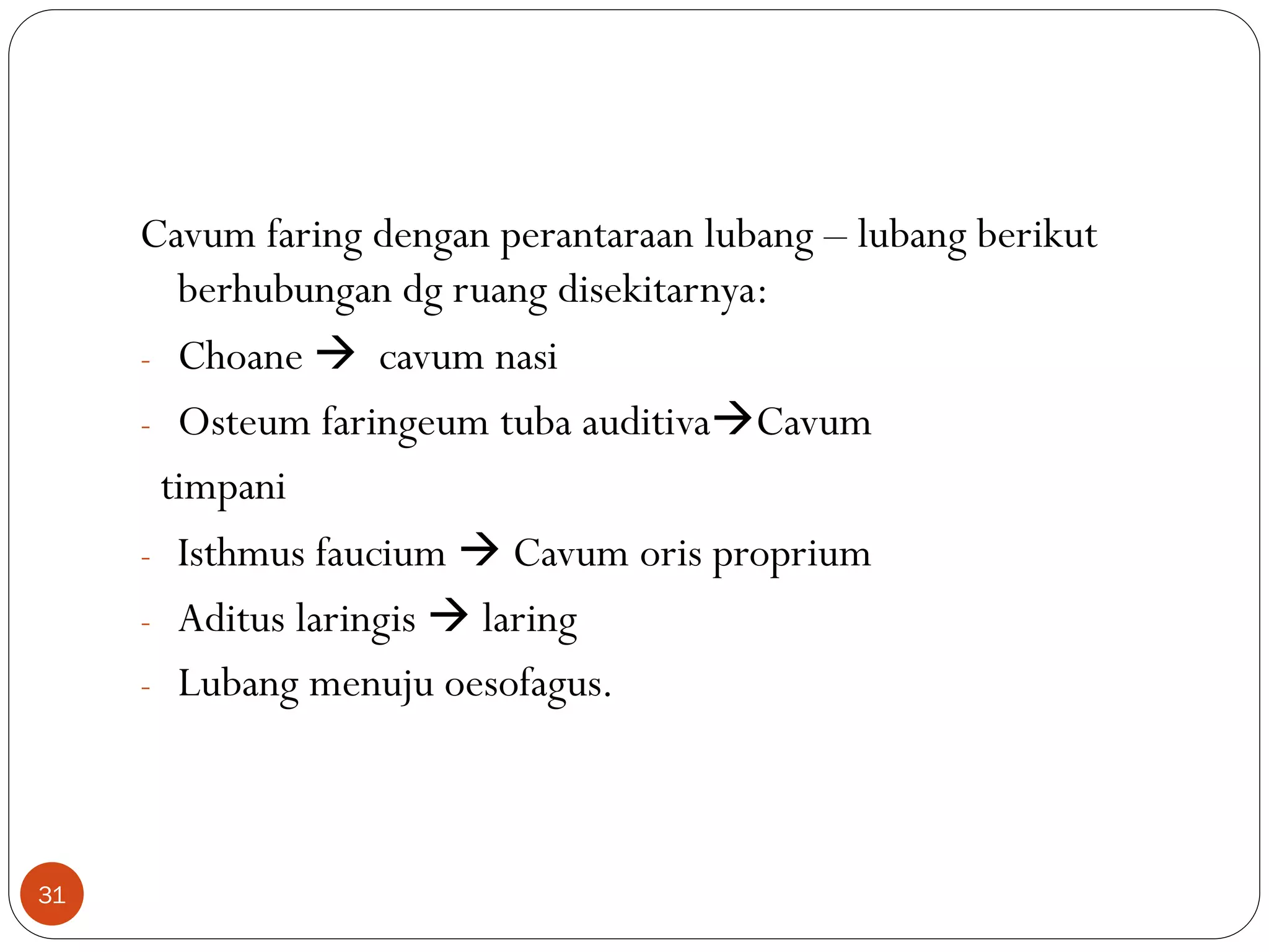 ANATOMI saluran cerna.pdf