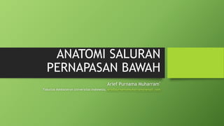 ANATOMI SALURAN
PERNAPASAN BAWAH
Arief Purnama Muharram*
*Fakultas Kedokteran Universitas Indonesia, ariefpurnamamuharram@gmail.com
 