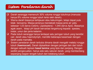  Darah serangga memenuhi 30% volume rongga tubuhnya (manusia
  hanya 8% volume rongga tubuh terisi oleh darah).
 Warna darah biasanya kehijauan atau kekuningan, tetapi dapat pula
  tidak berwarna. Massa jenisnya mendekati massa jenis air yaitu
  sebesar 1,03 (larva Celerio, Lepidoptera) - 1,045 (larva Apis). Biasanya
  agak asam, tetapi pH darah bervariasi tergantung kepada spesies,
  instar, umur dan jenis kelamin.
 Pada tubuh serangga hanya terdapat satu jaringan tubuh yang bersifat
  cair, darah atau haemolymph, memiliki beberapa kesamaan dengan
  darah pada mamalia.
 Sistem peredaran darah terbuka dimana darah mengalir melalui rongga
  tubuh (haemocoel). Darah dipisahkan dengan jaringan lain dari tubuh
  dengan sebuah lapisan basal lamina yang tipis dan panjang. Dengan
  sedikit pengecualian, hanya ada satu saluran darah, yang membentang
  sepanjang bagian tengah tubuh dari belakang tubuh.
 
