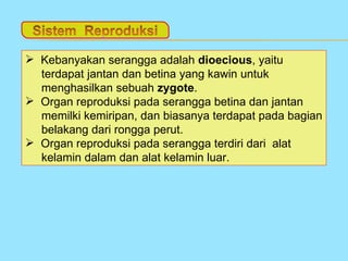  Kebanyakan serangga adalah dioecious, yaitu
  terdapat jantan dan betina yang kawin untuk
  menghasilkan sebuah zygote.
 Organ reproduksi pada serangga betina dan jantan
  memilki kemiripan, dan biasanya terdapat pada bagian
  belakang dari rongga perut.
 Organ reproduksi pada serangga terdiri dari alat
  kelamin dalam dan alat kelamin luar.
 