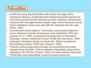 o Jumlah telur yang dapat dihasilkan oleh seekor serangga betina,
  sepanjang hidupnya, sangat bervariasi tergantung kepada spesiesnya
  dari hanya sepuluh sampai beberapa juta telur. Walaupun kemampuan
  maksimal dari serangga tersebut sangat tinggi, namun biasanya mereka
  hanya meletakkan antara satu atau 200 dan beberapa ribu telur saja
  (Hilton, 1981).
o Leschenaultia adusta (Diptera, Tachinidae), parasit pada Estigmene
  acrea, dilaporkan memiliki kemampuan untuk meletakkan 4572 telur
  (Jackson et. al., 1970). Ceroplasses pseudoceriferons (Hemiptera,
  Coccidae), mampu meletakkan sampai 10.000 telur (Sankaran, 1954),
  sedangkan Hemiptera Kapala terminalis dan Stilbula cynipiformis
  (Eucharitidae) sampai 15.000 telur (Clausen, 1940).
o Fekuditas paling tinggi pada serangga non-sosial ditemukan pada
  ngengat Hantu Australia, Trictena atripalpis (Hepialidae) yang mampu
  meletakkan 29.100 telur (Tindale, 1932), dan ketika dibedah ditemukan
  15.000 telur yang berkembang sempurna pada ovariumnya.
 