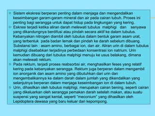 o Sistem ekskresi berperan penting dalam menjaga dan mengendalikan
  keseimbangan garam-garam mineral dan air pada cairan tubuh. Proses ini
  penting bagi serangga untuk dapat hidup pada lingkungan yang kering.
o Eskresi terjadi ketika aliran darah melewati tubulus malphigi dan senyawa
  yang dikandungnya berdifusi atau pindah secara aktif ke dalam tubulus.
  Kebanyakan nitrogen diambil oleh tubulus dalam bentuk garam asam urat,
  yang terbentuk pada badan lemak dan pindah ke darah sebelum dibuang.
  Substansi lain : asam amino, berbagai ion, dan air. Aliran urin di dalam tubulus
  malphigi disebabkan terjadinya perbedaan konsentrasi ion natrium. Urin
  kemudian dibuang dari tubulus malphigi menuju ke usus belakang, dimana
  akan melewati rektum.
o Pada rektum, terjadi proses reabsorbsi air, menghasilkan feses yang relatif
  kering pada kebanyakan serangga. Rektum juga berperan dalam mengambil
  ion anorganik dan asam amino yang dibutuhkan dari urin dan
  mengembalikannya ke dalam darah dalam jumlah yang dikendalikan yang
  selanjutnya berperan dalam menjaga keseimbangan ion di dalam tubuh.
o Urin, dihasilkan oleh tubulus malphigi, merupakan cairan bening, seperti cairan
  yang dikeluarkan oleh serangga pemakan darah setelah makan, atau suatu
  suspensi yang sangat kental, seperti “meconium” yang dihasilkan oleh
  Lepidoptera dewasa yang baru keluar dari kepompong.
 