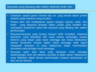Senyawa yang dibuang oleh sistem ekskresi terdiri dari :


   Substansi, seperti garam mineral atau air, yang berada dalam jumlah
    berlebih pada makanan yang dimakan.
   Produk akhir dari metabolisme seperti nitrogen organik, sulfur, dan
    fosfor yang biasanya terdapat dalam jumlah yang berlebih dan
    merupakan komponen utama dari senyawa yang dibuang oleh sistem
    pembuangan.
   Senyawa-senyawa yang kurang maupun lebih kompleks, biasanya
    berwarna, yang dihasilkan dari suatu produk sampingan proses
    biokimia yang terjadi pada tubuh serangga dan harus dikeluarkan
    karena komponen kimiawi dalam tubuh serangga tidak dapat
    mengubah senyawa ini yang selanjutnya dapat menimbulkan
    kerusakan pada jaringan tubuh serangga.
   Senyawa asam atau basa yang bertujuan untuk menjaga
    keseimbangan ionik dan tekanan osmosis di dalam darah. Mekanisme
    yang dilakukan dapat berupa pembuangan maupun penyerapan air
    atau ion-ion tertentu.
 