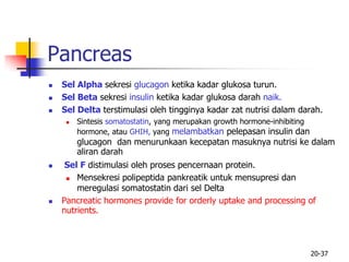 20-37
Pancreas
 Sel Alpha sekresi glucagon ketika kadar glukosa turun.
 Sel Beta sekresi insulin ketika kadar glukosa darah naik.
 Sel Delta terstimulasi oleh tingginya kadar zat nutrisi dalam darah.
 Sintesis somatostatin, yang merupakan growth hormone-inhibiting
hormone, atau GHIH, yang melambatkan pelepasan insulin dan
glucagon dan menurunkaan kecepatan masuknya nutrisi ke dalam
aliran darah
 Sel F distimulasi oleh proses pencernaan protein.
 Mensekresi polipeptida pankreatik untuk mensupresi dan
meregulasi somatostatin dari sel Delta
 Pancreatic hormones provide for orderly uptake and processing of
nutrients.
 