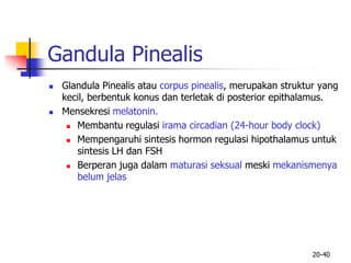 20-40
Gandula Pinealis
 Glandula Pinealis atau corpus pinealis, merupakan struktur yang
kecil, berbentuk konus dan terletak di posterior epithalamus.
 Mensekresi melatonin.
 Membantu regulasi irama circadian (24-hour body clock)
 Mempengaruhi sintesis hormon regulasi hipothalamus untuk
sintesis LH dan FSH
 Berperan juga dalam maturasi seksual meski mekanismenya
belum jelas
 