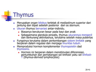 20-41
Thymus
 Merupakan organ bilobus terletak di mediastinum superior dari
jantung dan tepat sebelah posterior dari os sternum.
 Ukuran thymus bervariasi antar-individu.
 Biasanya berukuran besar pada bayi dan anak
 Sebagaimana glandula pinealis, thymus ukurannya mengecil
dan berkurang aktivitasnya, terutama setelah masa pubertas
 Fungsinya terutama dalam perkembangan sistem limfatik yang
berperan dalam regulasi dan menjaga imunitas tubuh.
 Memproduksi hormon komplementer thymopoietin dad
thymosins.
 Hormon ini berperan dalam menstimulasi diferensiasi,
pertumbuhan dan pematangan sel limfosit yaitu sel limfosit-
T (thymus-derived lymphocytes)
 