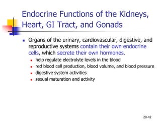 20-42
Endocrine Functions of the Kidneys,
Heart, GI Tract, and Gonads
 Organs of the urinary, cardiovascular, digestive, and
reproductive systems contain their own endocrine
cells, which secrete their own hormones.
 help regulate electrolyte levels in the blood
 red blood cell production, blood volume, and blood pressure
 digestive system activities
 sexual maturation and activity
 