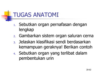 TUGAS ANATOMI
1. Sebutkan organ pernafasan dengan
lengkap
2. Gambarkan sistem organ saluran cerna
3. Jelaskan klasifikasi sendi berdasarkan
kemampuan geraknya! Berikan contoh
4. Sebutkan organ yang terlibat dalam
pembentukan urin
20-62
 