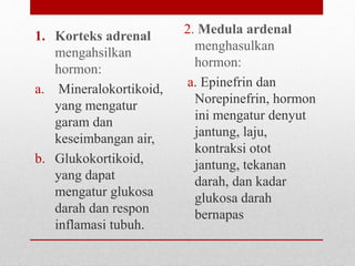 1. Korteks adrenal
mengahsilkan
hormon:
a. Mineralokortikoid,
yang mengatur
garam dan
keseimbangan air,
b. Glukokortikoid,
yang dapat
mengatur glukosa
darah dan respon
inflamasi tubuh.
2. Medula ardenal
menghasulkan
hormon:
a. Epinefrin dan
Norepinefrin, hormon
ini mengatur denyut
jantung, laju,
kontraksi otot
jantung, tekanan
darah, dan kadar
glukosa darah
bernapas
 