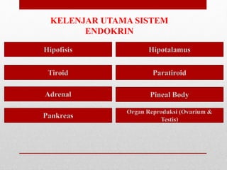 KELENJAR UTAMA SISTEM
ENDOKRIN
 