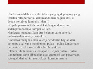 •Pankreas adalah suatu alat tubuh yang agak panjang yang
terletak retroperitonial dalam abdomen bagian atas, di
depan vertebrae lumbalis I dan II.
•Kepala pankreas terletak dekat dengan duodenum,
sedangkan ekornya sampai ke lien.
•Pankreas menghasilkan dua kelenjar yaitu kelenjar
endokrin dan kelenjar eksokrin.
•Pankreas menghasilkan kelenjar endokrin bagian dari
kelompok sel yang membentuk pulau – pulau Langerhans
berbentuk oval tersebar di seluruh pankreas.
•Dalam tubuh manusia terdapat 1 – 2 juta pulau – pulau
Langerhans yang dibedakan atas granulasi dan pewarnaan,
setengah dari sel ini menyekresi hormon insulin
 