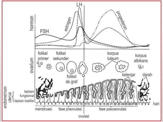 ANATOMI_SISTEM_ENDOKRIN_PPT.pptx