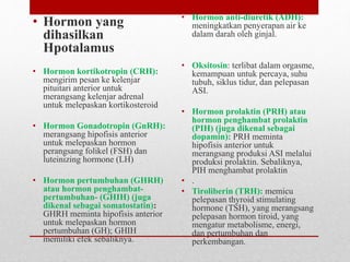• Hormon yang
dihasilkan
Hpotalamus
• Hormon kortikotropin (CRH):
mengirim pesan ke kelenjar
pituitari anterior untuk
merangsang kelenjar adrenal
untuk melepaskan kortikosteroid
• Hormon Gonadotropin (GnRH):
merangsang hipofisis anterior
untuk melepaskan hormon
perangsang folikel (FSH) dan
luteinizing hormone (LH)
• Hormon pertumbuhan (GHRH)
atau hormon penghambat-
pertumbuhan- (GHIH) (juga
dikenal sebagai somatostatin):
GHRH meminta hipofisis anterior
untuk melepaskan hormon
pertumbuhan (GH); GHIH
memiliki efek sebaliknya.
• Hormon anti-diuretik (ADH):
meningkatkan penyerapan air ke
dalam darah oleh ginjal.
• Oksitosin: terlibat dalam orgasme,
kemampuan untuk percaya, suhu
tubuh, siklus tidur, dan pelepasan
ASI.
• Hormon prolaktin (PRH) atau
hormon penghambat prolaktin
(PIH) (juga dikenal sebagai
dopamin): PRH meminta
hipofisis anterior untuk
merangsang produksi ASI melalui
produksi prolaktin. Sebaliknya,
PIH menghambat prolaktin
• .
• Tiroliberin (TRH): memicu
pelepasan thyroid stimulating
hormone (TSH), yang merangsang
pelepasan hormon tiroid, yang
mengatur metabolisme, energi,
dan pertumbuhan dan
perkembangan.
 