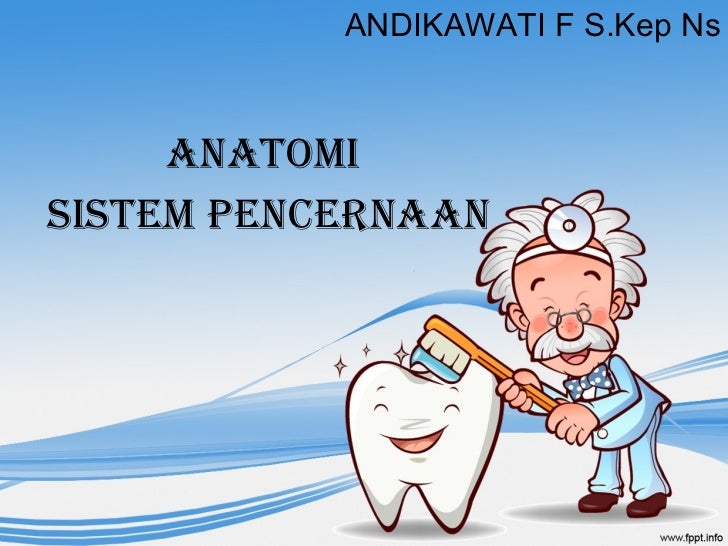 Anatomi Sistem Pencernaan