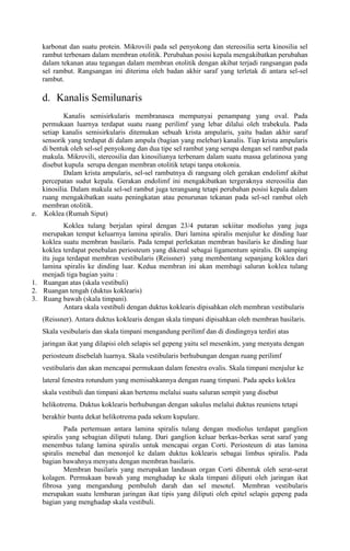 karbonat dan suatu protein. Mikrovili pada sel penyokong dan stereosilia serta kinosilia sel
rambut terbenam dalam membran otolitik. Perubahan posisi kepala mengakibatkan perubahan
dalam tekanan atau tegangan dalam membran otolitik dengan akibat terjadi rangsangan pada
sel rambut. Rangsangan ini diterima oleh badan akhir saraf yang terletak di antara sel-sel
rambut.
d. Kanalis Semilunaris
Kanalis semisirkularis membranasea mempunyai penampang yang oval. Pada
permukaan luarnya terdapat suatu ruang perilimf yang lebar dilalui oleh trabekula. Pada
setiap kanalis semisirkularis ditemukan sebuah krista ampularis, yaitu badan akhir saraf
sensorik yang terdapat di dalam ampula (bagian yang melebar) kanalis. Tiap krista ampularis
di bentuk oleh sel-sel penyokong dan dua tipe sel rambut yang serupa dengan sel rambut pada
makula. Mikrovili, stereosilia dan kinosilianya terbenam dalam suatu massa gelatinosa yang
disebut kupula serupa dengan membran otolitik tetapi tanpa otokonia.
Dalam krista ampularis, sel-sel rambutnya di rangsang oleh gerakan endolimf akibat
percepatan sudut kepala. Gerakan endolimf ini mengakibatkan tergeraknya stereosilia dan
kinosilia. Dalam makula sel-sel rambut juga terangsang tetapi perubahan posisi kepala dalam
ruang mengakibatkan suatu peningkatan atau penurunan tekanan pada sel-sel rambut oleh
membran otolitik.
e. Koklea (Rumah Siput)
Koklea tulang berjalan spiral dengan 23/4 putaran sekiitar modiolus yang juga
merupakan tempat keluarnya lamina spiralis. Dari lamina spiralis menjulur ke dinding luar
koklea suatu membran basilaris. Pada tempat perlekatan membran basilaris ke dinding luar
koklea terdapat penebalan periosteum yang dikenal sebagai ligamentum spiralis. Di samping
itu juga terdapat membran vestibularis (Reissner) yang membentang sepanjang koklea dari
lamina spiralis ke dinding luar. Kedua membran ini akan membagi saluran koklea tulang
menjadi tiga bagian yaitu :
1. Ruangan atas (skala vestibuli)
2. Ruangan tengah (duktus koklearis)
3. Ruang bawah (skala timpani).
Antara skala vestibuli dengan duktus koklearis dipisahkan oleh membran vestibularis
(Reissner). Antara duktus koklearis dengan skala timpani dipisahkan oleh membran basilaris.
Skala vesibularis dan skala timpani mengandung perilimf dan di dindingnya terdiri atas
jaringan ikat yang dilapisi oleh selapis sel gepeng yaitu sel mesenkim, yang menyatu dengan
periosteum disebelah luarnya. Skala vestibularis berhubungan dengan ruang perilimf
vestibularis dan akan mencapai permukaan dalam fenestra ovalis. Skala timpani menjulur ke
lateral fenestra rotundum yang memisahkannya dengan ruang timpani. Pada apeks koklea
skala vestibuli dan timpani akan bertemu melalui suatu saluran sempit yang disebut
helikotrema. Duktus koklearis berhubungan dengan sakulus melalui duktus reuniens tetapi
berakhir buntu dekat helikotrema pada sekum kupulare.
Pada pertemuan antara lamina spiralis tulang dengan modiolus terdapat ganglion
spiralis yang sebagian diliputi tulang. Dari ganglion keluar berkas-berkas serat saraf yang
menembus tulang lamina spiralis untuk mencapai organ Corti. Periosteum di atas lamina
spiralis menebal dan menonjol ke dalam duktus koklearis sebagai limbus spiralis. Pada
bagian bawahnya menyatu dengan membran basilaris.
Membran basilaris yang merupakan landasan organ Corti dibentuk oleh serat-serat
kolagen. Permukaan bawah yang menghadap ke skala timpani diliputi oleh jaringan ikat
fibrosa yang mengandung pembuluh darah dan sel mesotel. Membran vestibularis
merupakan suatu lembaran jaringan ikat tipis yang diliputi oleh epitel selapis gepeng pada
bagian yang menghadap skala vestibuli.
 