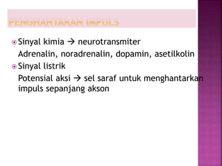  Sinyal kimia  neurotransmiter
Adrenalin, noradrenalin, dopamin, asetilkolin
 Sinyal listrik
Potensial aksi  sel saraf untuk menghantarkan
impuls sepanjang akson
 