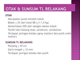 OTAK
Merupakan pusat kendali tubuh
Bobot + 2% dari total BB (+1-1,5 kg)
Memerlukan 20% dari oksigen dalam tubuh
Terdiri dari batang otak, serebrum, serebelum
Terdapat jaringan kelabu (gray matter) dan putih (white
matter)
SUMSUM TL BELAKANG
Panjang + 45 cm
Garis tengah + 12 mm
Terdapat jaringan kelabu dan putih
 