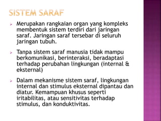  Merupakan rangkaian organ yang kompleks
membentuk sistem terdiri dari jaringan
saraf. Jaringan saraf tersebar di seluruh
jaringan tubuh.
 Tanpa sistem saraf manusia tidak mampu
berkomunikasi, berinteraksi, beradaptasi
terhadap perubahan lingkungan (internal &
eksternal)
 Dalam mekanisme sistem saraf, lingkungan
internal dan stimulus eksternal dipantau dan
diatur. Kemampuan khusus seperti
iritabilitas, atau sensitivitas terhadap
stimulus, dan konduktivitas.
 