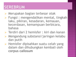  Merupakan bagian terbesar otak
 Fungsi : mengendalikan mental, tingkah
laku, pikiran, kesadaran, kemauan,
kecerdasan, kemampuan berbicara,
bahasa
 Terdiri dari 2 hemisfer : kiri dan kanan
 Mengandung substansi/jaringan kelabu
dan putih
 Hemisfer dipisahkan suatu celah yang
dalam dan dihubungkan kembali oleh
corpus callosum
 