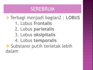  Terbagi menjadi bagian2 : LOBUS
1. Lobus frontalis
2. Lobus parietalis
3. Lobus oksipitalis
4. Lobus temporalis
 Substansi putih terletak lebih
dalam
SEREBRUM
 