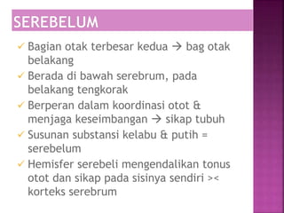  Bagian otak terbesar kedua  bag otak
belakang
 Berada di bawah serebrum, pada
belakang tengkorak
 Berperan dalam koordinasi otot &
menjaga keseimbangan  sikap tubuh
 Susunan substansi kelabu & putih =
serebelum
 Hemisfer serebeli mengendalikan tonus
otot dan sikap pada sisinya sendiri ><
korteks serebrum
 