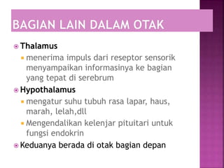  Thalamus
 menerima impuls dari reseptor sensorik
menyampaikan informasinya ke bagian
yang tepat di serebrum
 Hypothalamus
 mengatur suhu tubuh rasa lapar, haus,
marah, lelah,dll
 Mengendalikan kelenjar pituitari untuk
fungsi endokrin
 Keduanya berada di otak bagian depan
 