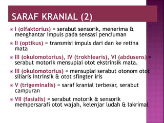  I (olfaktorius) = serabut sensorik, menerima &
menghantar impuls pada sensasi penciuman
 II (optikus) = transmisi impuls dari dan ke retina
mata
 III (okulomotorius), IV (trokhlearis), VI (abdusens) =
serabut motorik mensuplai otot ekstrinsik mata.
 III (okulomotorius) = mensuplai serabut otonom otot
siliaris intrinsik & otot sfingter iris
 V (trigeminalis) = saraf kranial terbesar, serabut
campuran
 VII (fasialis) = serabut motorik & sensorik
mempersarafi otot wajah, kelenjar ludah & lakrimal
 