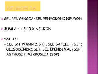  SEL PENYANGGA/SEL PENYOKONG NEURON
 JUMLAH : 5-10 X NEURON
 YAITU :
- SEL SCHWANN (SST) , SEL SATELIT (SST)
OLIGODENDROSIT, SEL EPENDIMAL (SSP),
ASTROSIT, MIKROGLIA (SSP)
 