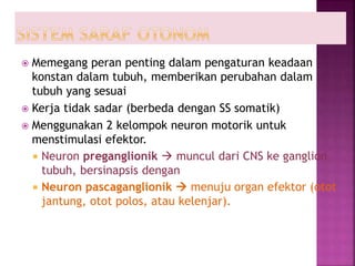  Memegang peran penting dalam pengaturan keadaan
konstan dalam tubuh, memberikan perubahan dalam
tubuh yang sesuai
 Kerja tidak sadar (berbeda dengan SS somatik)
 Menggunakan 2 kelompok neuron motorik untuk
menstimulasi efektor.
 Neuron preganglionik  muncul dari CNS ke ganglion
tubuh, bersinapsis dengan
 Neuron pascaganglionik  menuju organ efektor (otot
jantung, otot polos, atau kelenjar).
 