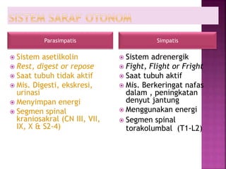  Sistem asetilkolin
 Rest, digest or repose
 Saat tubuh tidak aktif
 Mis. Digesti, ekskresi,
urinasi
 Menyimpan energi
 Segmen spinal
kraniosakral (CN III, VII,
IX, X & S2-4)
 Sistem adrenergik
 Fight, Flight or Fright
 Saat tubuh aktif
 Mis. Berkeringat nafas
dalam , peningkatan
denyut jantung
 Menggunakan energi
 Segmen spinal
torakolumbal (T1-L2)
Parasimpatis Simpatis
 