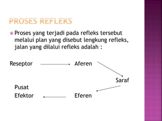  Proses yang terjadi pada refleks tersebut
melalui plan yang disebut lengkung refleks,
jalan yang dilalui refleks adalah :
Reseptor Aferen
Saraf
Pusat
Efektor Eferen
 