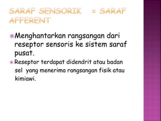 Menghantarkan rangsangan dari
reseptor sensoris ke sistem saraf
pusat.
 Reseptor terdapat didendrit atau badan
sel yang menerima rangsangan fisik atau
kimiawi.
 