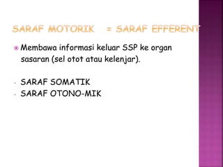  Membawa informasi keluar SSP ke organ
sasaran (sel otot atau kelenjar).
- SARAF SOMATIK
- SARAF OTONO-MIK
 